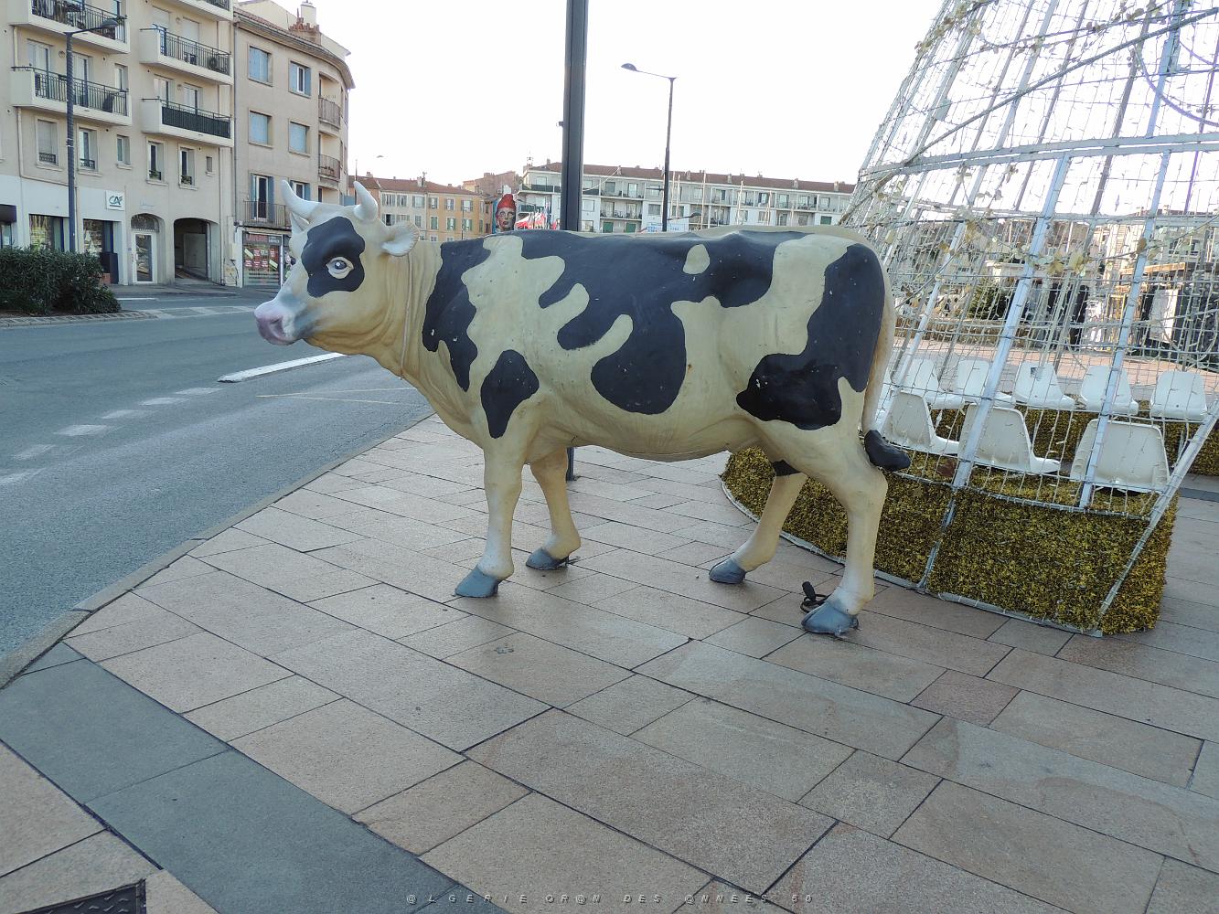 48  La Seyne les Animaux de la Ferme.JPG -           